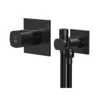 شیر توالت توکار ساتین پلاس